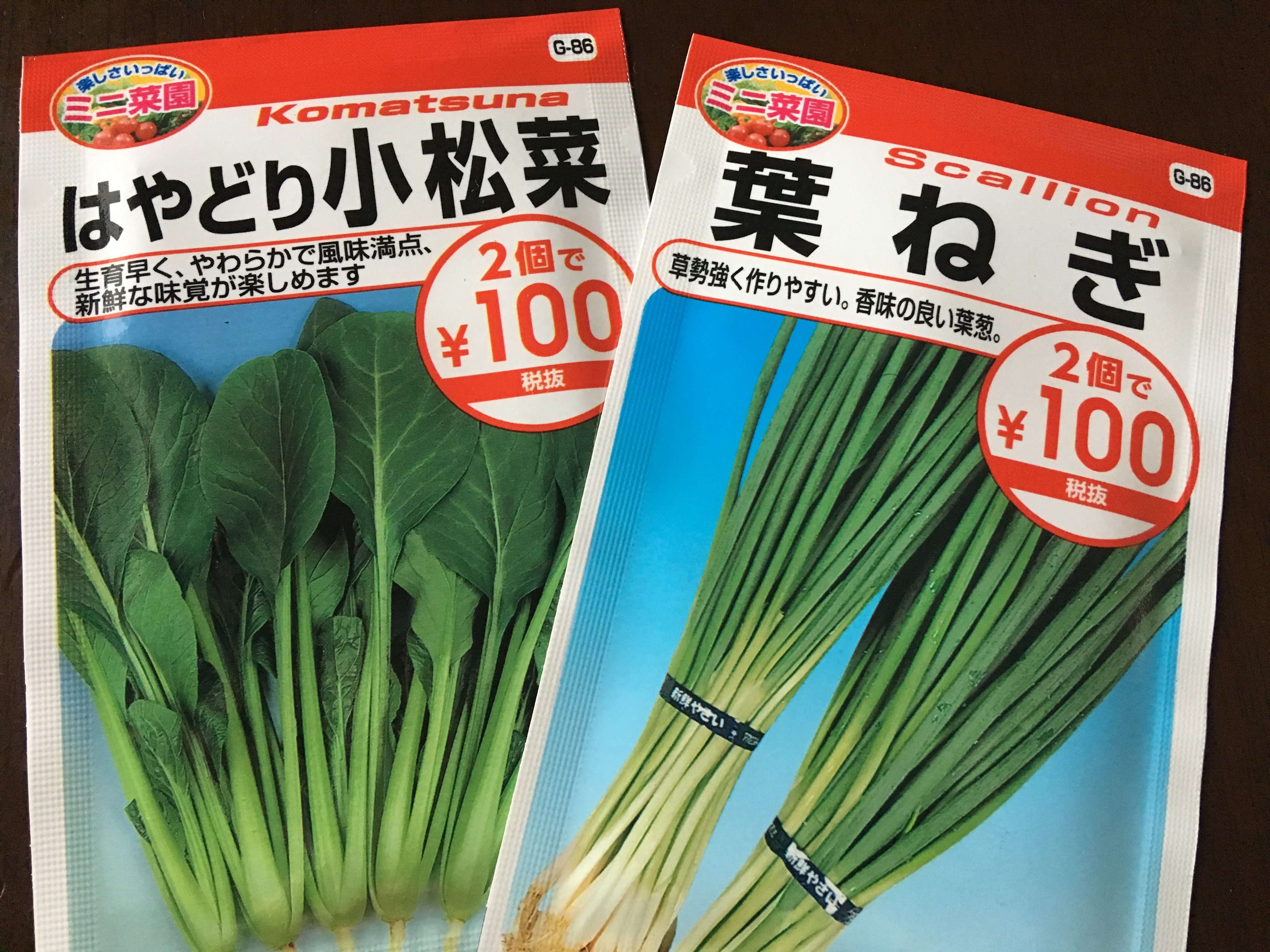 10月に種まきできる野菜で初心者も簡単なもの 小松菜にチャレンジ 家庭菜園チャレンジ ブログ